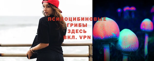соль ск Бугульма