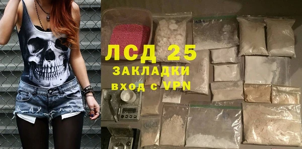 спайс Бородино
