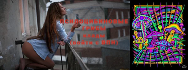 спайс Бородино