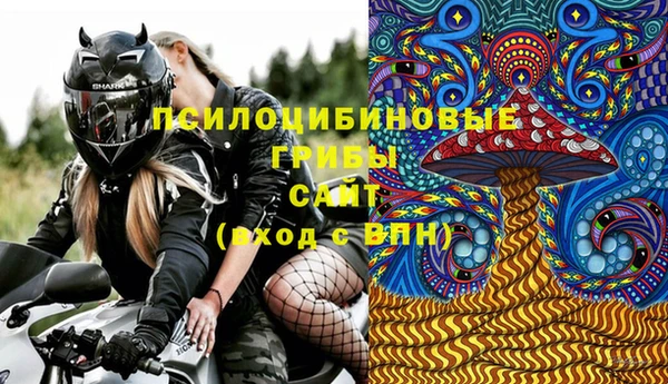 спайс Бородино