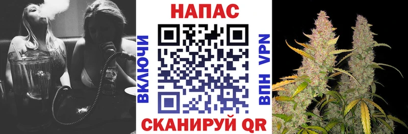 Бошки марихуана сатива  Купить закладки  Сибай 